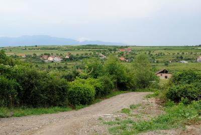 Teren 1,500 mp, vedere panoramica, Sibiu-Daia Noua - 6