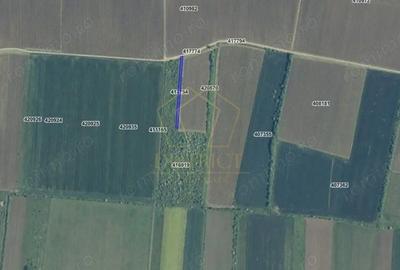 Teren de 10750 mp, în Vest - 2