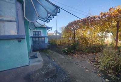 Casă cu 5 camere cu Teren 1820 Mp în Perișor - 5