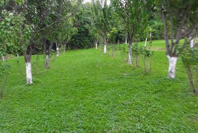 Teren de 1500 mp, în Țerova - 1