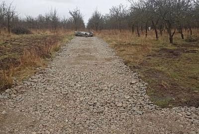 Spațiu comercial, în Central - 5