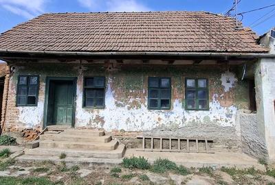 Casă cu 4 camere cu Teren 3000 Mp în Central - 9