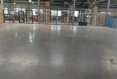 Inchiriez depozit 324 mp in hala industriala + 12 mp birou complet echipat,Ghiroda jud Timis - 4