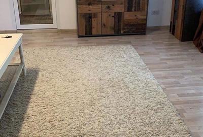 Apartament cu 2 camere nedecomandat în Dacia - 5