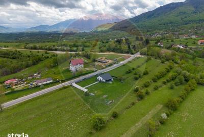 Teren de 1100 mp, în Tohănița - 9