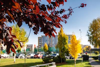 Apartament 2 camere, 48 mp utili+ terasa 3.5 mp, Avantgarden - 4