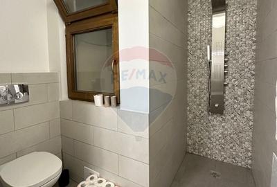 Spatiu de birouri de inchiriat in Palatul Szeki Spatiu de birouri de inchiriat in Palatul Szeki - 8