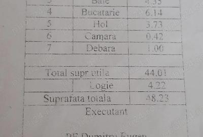 2 Camere Podu Ros - Splai Bahlui - 2