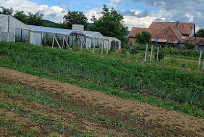 Casă cu Teren 11000 Mp în Sălișca - 10
