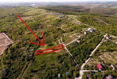 Teren intravilan de 1129 mp, în Săldăbagiu de Munte - 5
