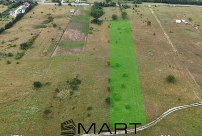 Teren de 5000 mp, în Avrig - 4