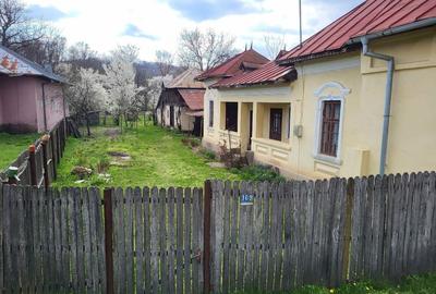 Casă individuală cu 4 camere cu Teren 2600 Mp în Hulubești - 3