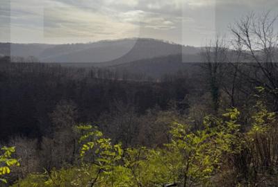 Teren de 8271 mp, în Cerbăl - 6