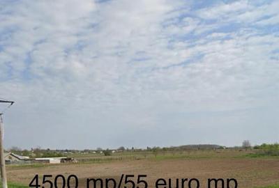 Teren 4.500 mp Gradi?tea, Ilfov - Deschidere 45 m - 3