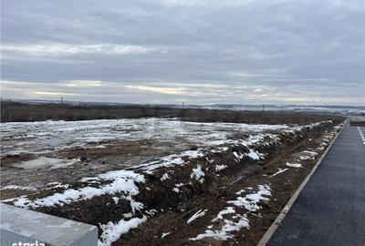 Spațiu comercial, în Biharia - 4