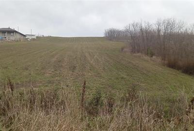 Teren constructii case Rediu - 2