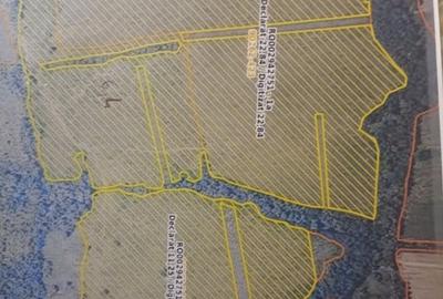 Oportunitate de investitie- teren Martinesti, Hunedoara - 1