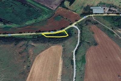 Teren de vanzare in Delta Dunarii loc. Nufaru - 4