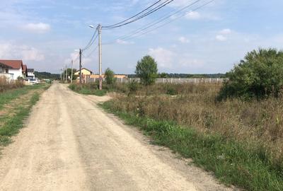 Teren pentru servicii- Mosnita Veche-1200 mp - 2