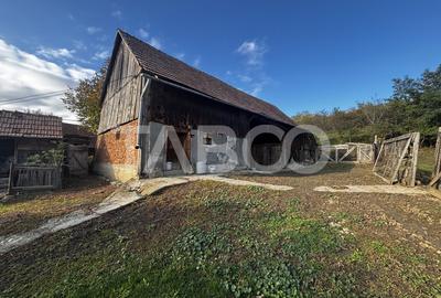 Exclusivitate comision 0% casa cu anexe si teren 3700 mp Alamor - 8