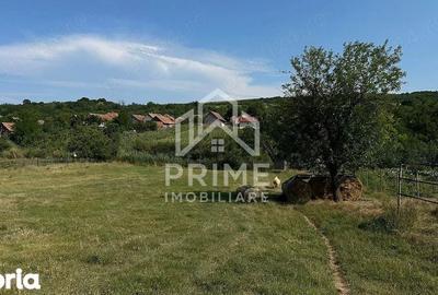 Teren de 3664 mp, în Berghin - 1
