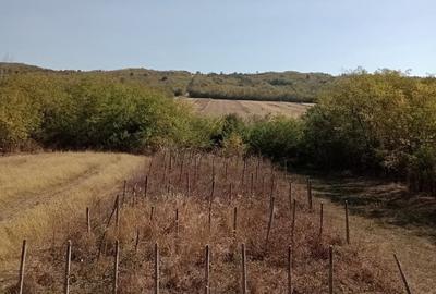 Casă cu 6 camere în Vlăngărești - 10