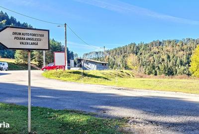Spațiu comercial, în Poiana Angelescu - 1