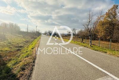 Teren intravilan de 1160 mp, în Curtișoara - 3