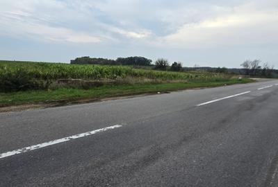 LIVADA  DE VANZARE FOCSANI-DUMBRAVITA  1,8  HA - 19