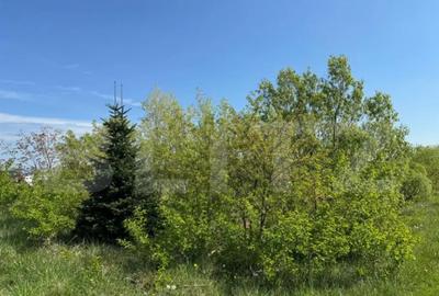 Teren de 19000 mp, în Central