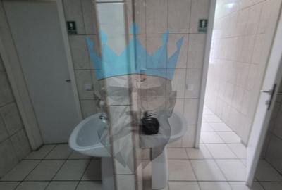 Birou, de 21 mp, în Dristor - 6