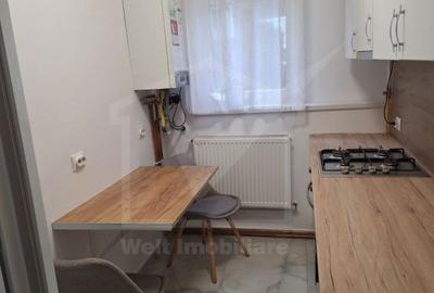 Apartament cu 2 camere semidecomandat, mobilat în Gruia - 4