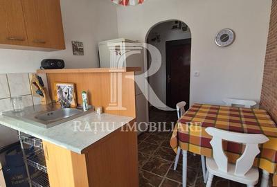 Apartament cu 2 camere decomandat în Nufărul