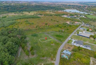 Teren intravilan -700 mp in Paleu, Bihor- intre padure si lac, cu PUZ aprobat - 13