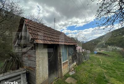 Casă cu 4 camere cu Teren 12186 Mp în Rapoltu Mare - 5