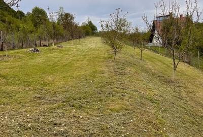 Teren de 1800 mp, în Livezile - 2