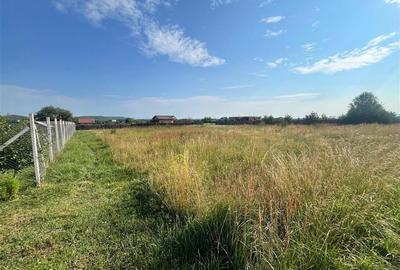 TEREN INTRAVILAN, HARMAN TEREN INTRAVILAN, HARMAN - 4