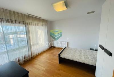 Iancu Nicolae, vila de inchiriat, 5 camere - 18