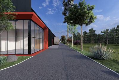 Proiect Nou Buftea - Rasaritului - 3