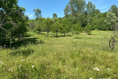 Teren de 2000 mp, în Stoenești - 2