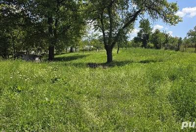 Casă în Urisiu de Sus - 3