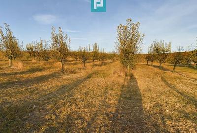 Casă individuală cu 6 camere cu Canalizare în Miniș - 34