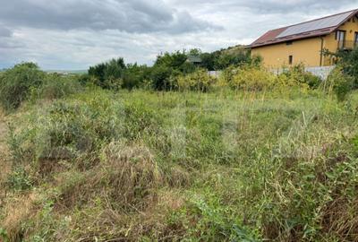 Teren 2100 mp, intravilan, zona Turda Noua!