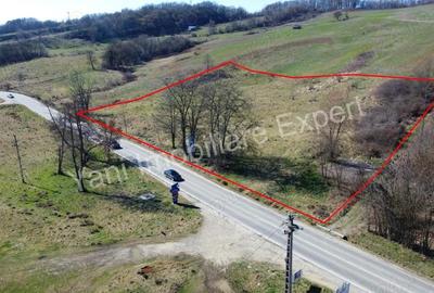 Teren 10.000 mp de vanzare in comuna Valea Ia?ului, jude? Arge?. - 2