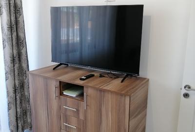 Apartament cu 3 camere semidecomandat în Ostroveni - 2