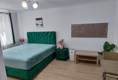 Garsonieră decomandată în Ozana - 3