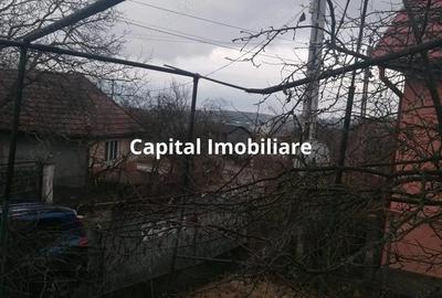 Casă cu 3 camere cu Teren 3040 Mp în Ceanu Mic - 9