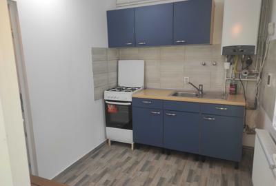 Casă cu 3 camere cu Teren 2000 Mp în Bădeni - 4