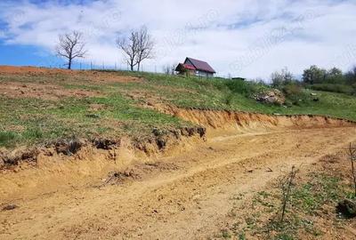 Parcele intravilan cu extravilan Calea Caransebesului km 2 loturi de 1000 mp negociabil - 7