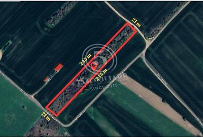 Teren intravilan, Cornetu, Ilfov – 5.590 mp - 2
